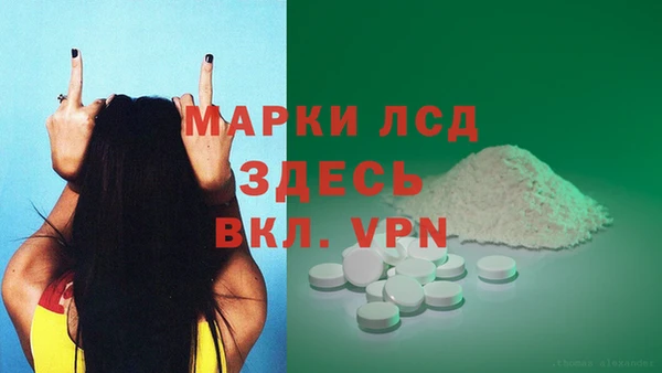 СК Горнозаводск