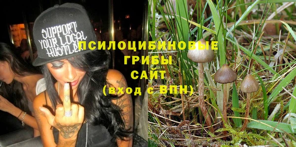 СК Горнозаводск